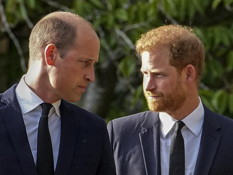 Harte Zeiten für Prinz Harry und Meghan Markle: Prinz William auf dem Kriegspfad - das blüht Bruder Harry und Schwägerin Meghan