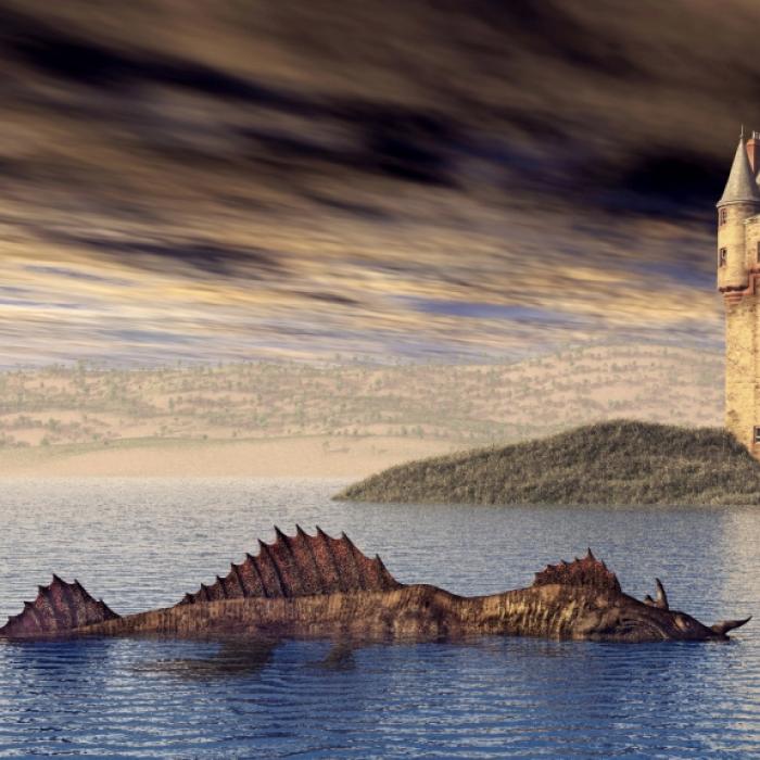 Neue Aufnahmen von Nessie? Webcam filmt Seeungeheuer