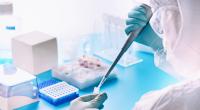 Ein Brief enthüllt jetzt angeblich den Ursprung des Coronavirus'.
