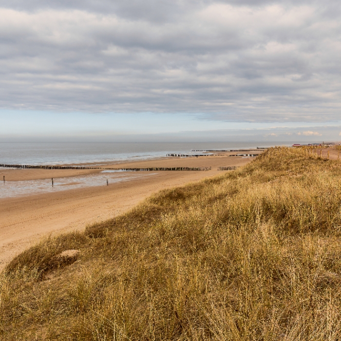Die aktuellen Temperaturen der Nordsee heute und die kommenden Tage