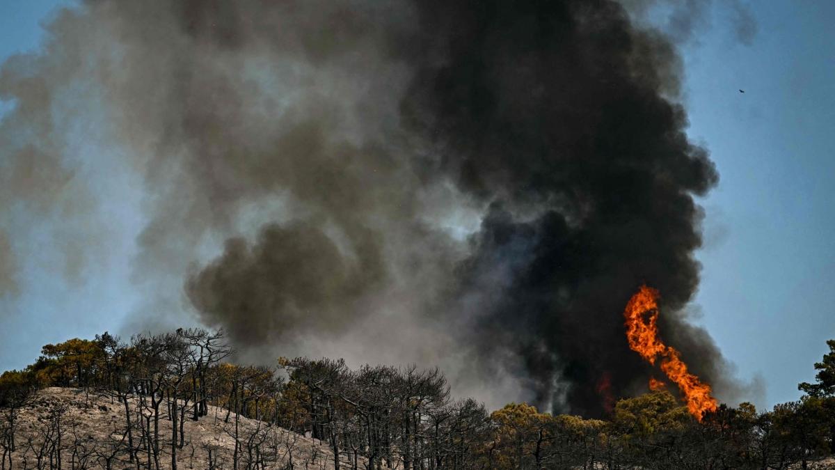 Ein Waldbrand w&uuml;tet auf einem H&uuml;gel im s&uuml;dfranz&ouml;sischen Departement H&eacute;rault. (Foto)