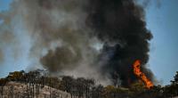 Ein Waldbrand wütet auf einem Hügel im südfranzösischen Departement Hérault.