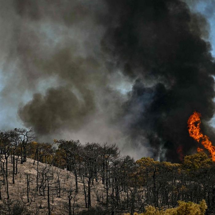 Waldbrände außer Kontrolle – Zehntausende fliehen vor den Flammen