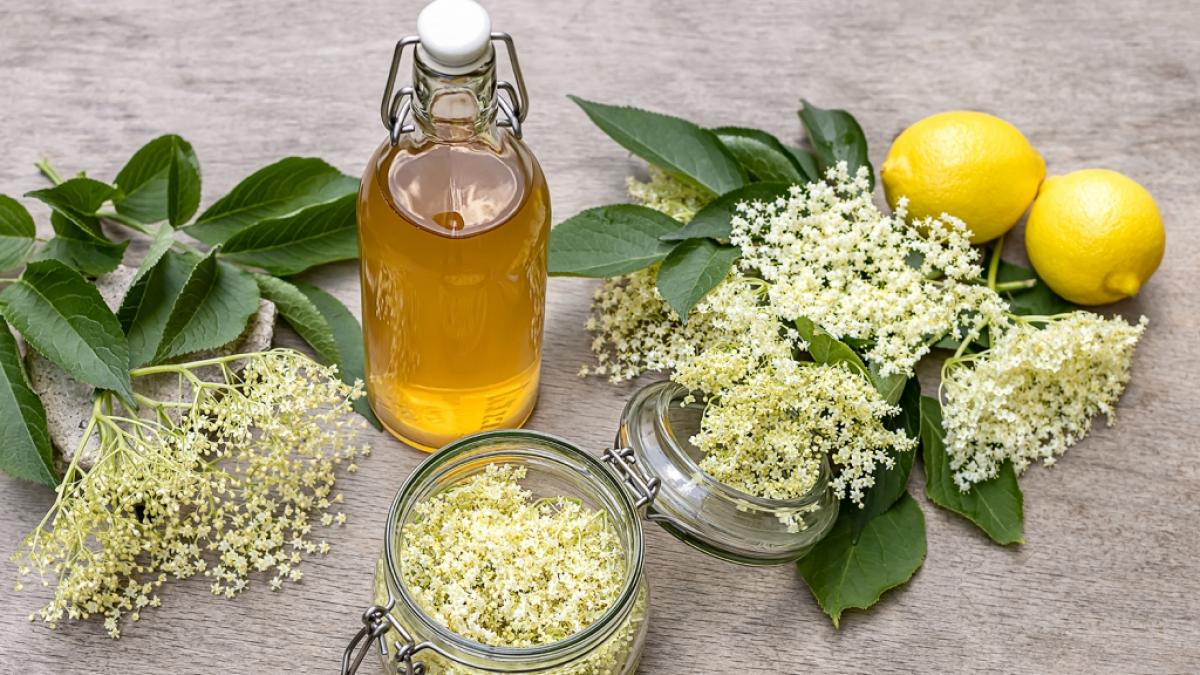 Holunderbl&uuml;tensirup kann man aus nur vier Zutaten ganz einfach selber machen. (Foto)