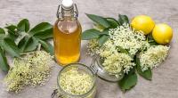 Holunderblütensirup kann man aus nur vier Zutaten ganz einfach selber machen.