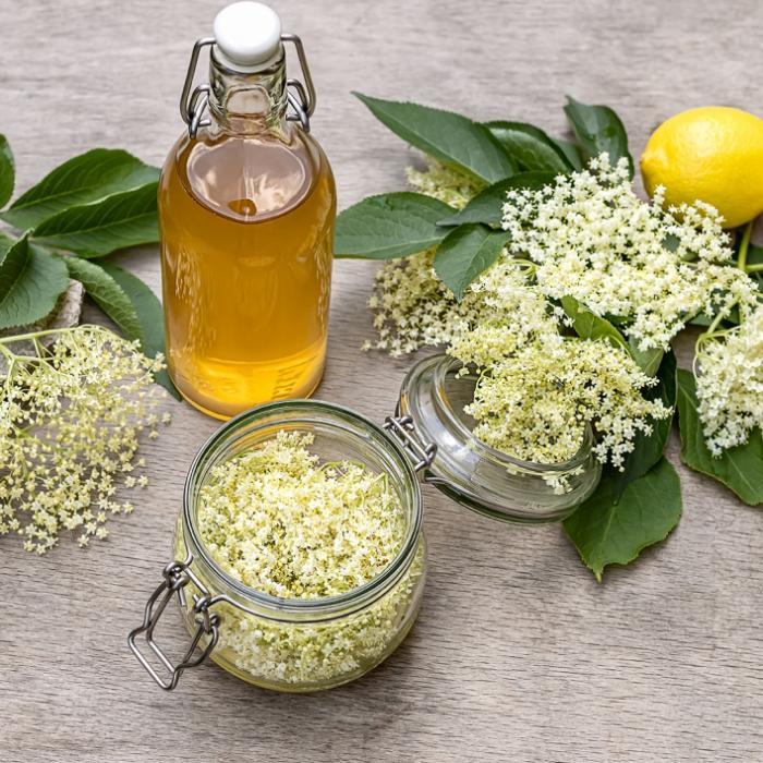 So einfach machen Sie Sirup aus Holler-Blüten