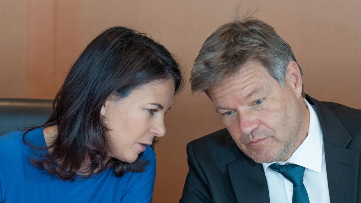 Laut einer aktuellen Umfrage erreichen die Umfragewerte f&uuml;r die Gr&uuml;nen einen neuen Tiefpunkt. (Foto)