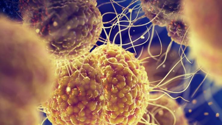Die hohe Zahl der Diagnosen an einer alten Geschlechtskrankheit besorgt das Robert Koch-Institut.