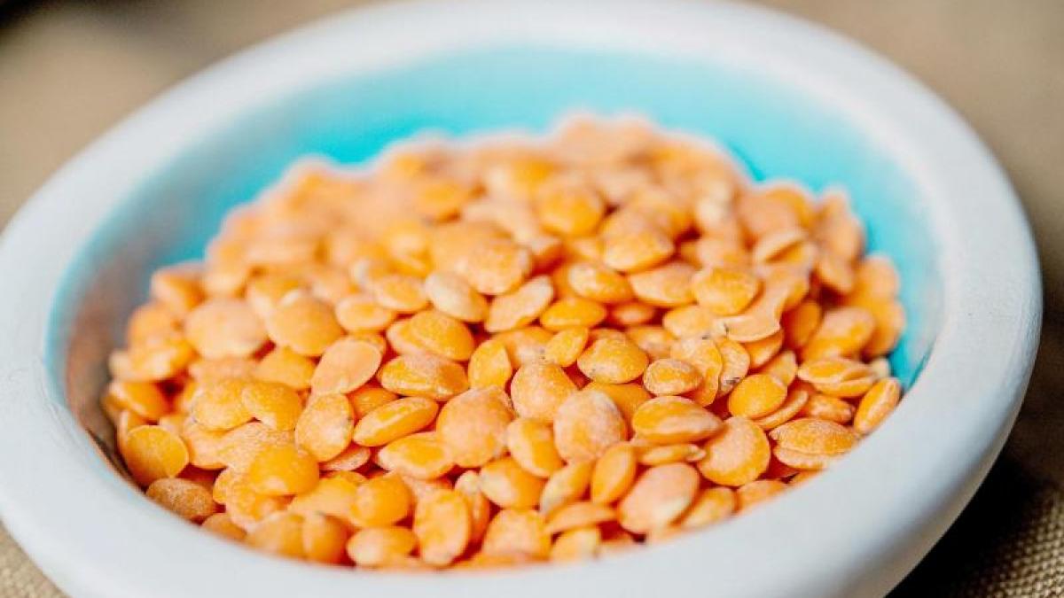Wie gesund sind Linsen? &Ouml;kotest hat es herausgefunden (Foto)