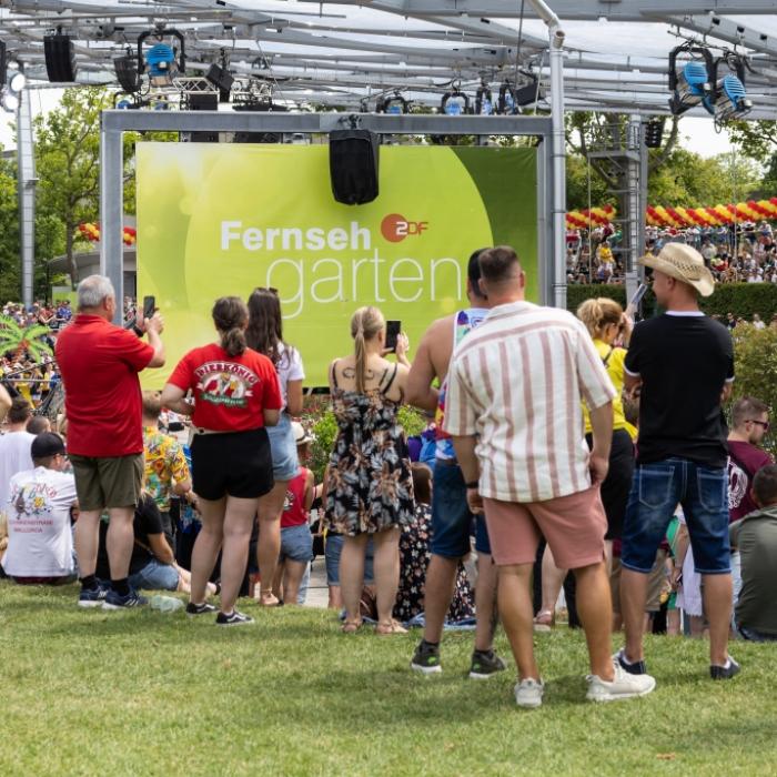 Mini-Gagen für Auftritte bei Kiwi! Bleiben deshalb Superstars fern?