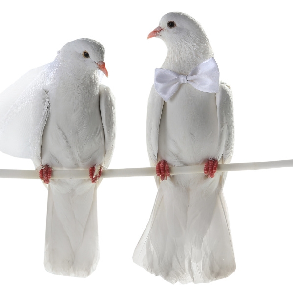 Die 10 skurrilsten Hochzeiten aller Zeiten