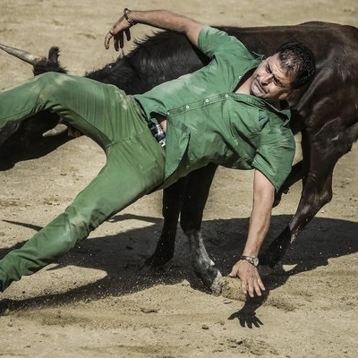 Tote und Verletzte - So brutal ist die spanische Stierhatz