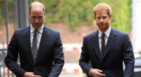Prinz William und Prinz Harry mussten bei ihrem Kindermädchen strenge Regeln einhalten.