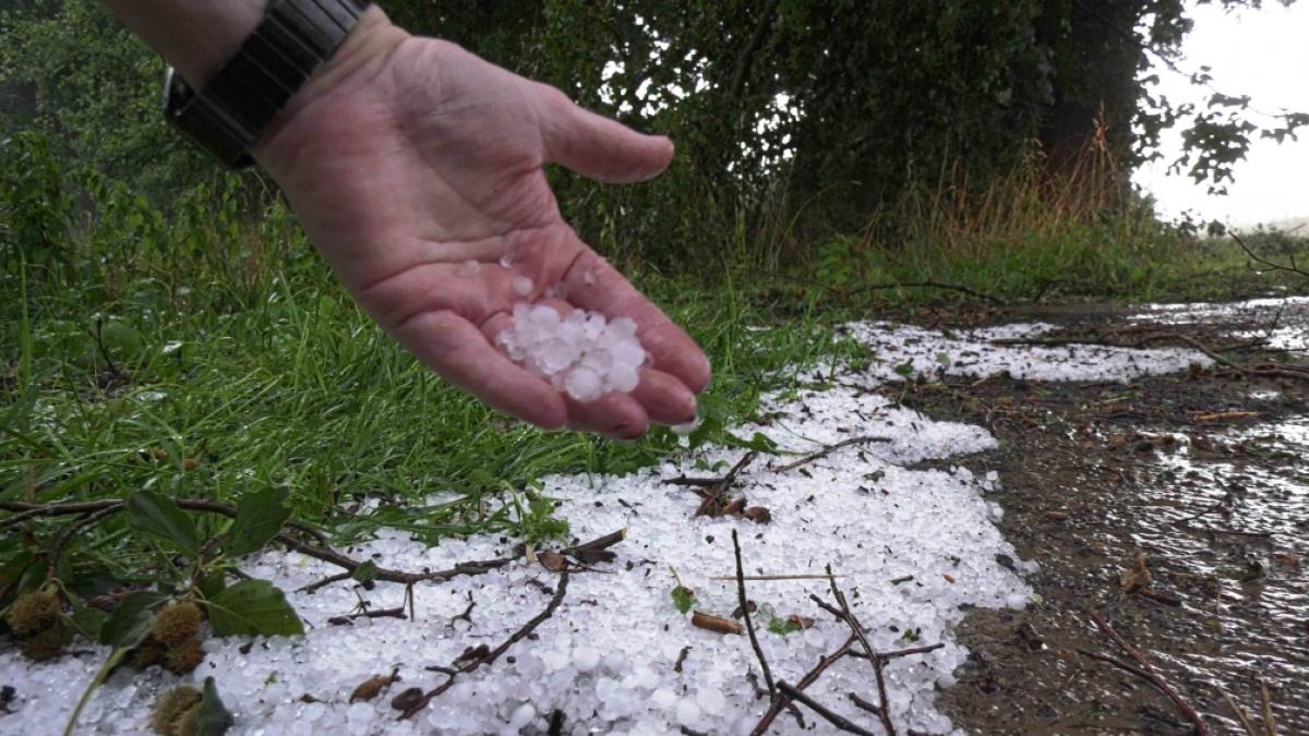 Hagelk&ouml;rner nach einem Unwetter bei Ludwigslust. (Foto)