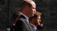 Einer Adelsexpertin zufolge soll Prinz Harry bereits von langer Hand die ultimative Rache an seinem Bruder Prinz William planen.