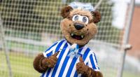 Herthinho vom Hertha BSC