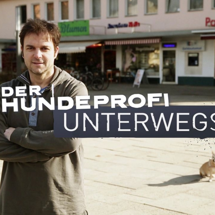 Wann und wo man die Wiederholung sehen kann