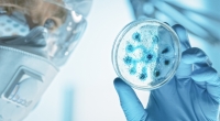 Ein US-Regierungsbeamter ist überzeugt: Das Coronavirus ist in aus einem chinesischen Virologie-Labor ausgebrochen.