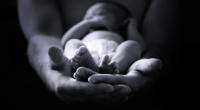 In Indien kam ein Baby mit zwei Köpfen und drei Armen zur Welt. (Symbolbild)
