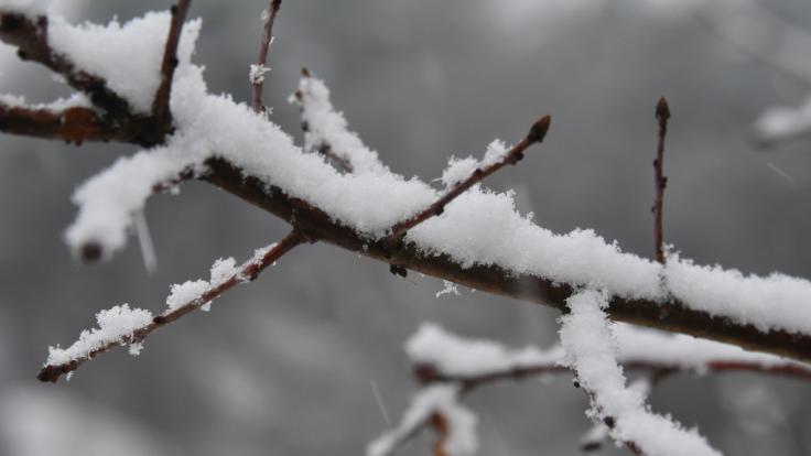 Nächste Woche droht deutschlandweit Winter-Wetter.