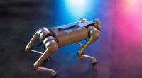 In der Ukraine werden mittlerweile Roboter-Hunde gegen die russischen Angreifer eingesetzt. (Symbolbild)