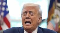 Eine neue Umfrage zeigt: Donald Trump kann weder mit seiner Außenpolitik, noch bei den Themen Wirtschaft und Einwanderung überzeugen.
