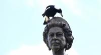 Wie wird die Monarchie auf den Tod von Königin Elizabeth reagieren?