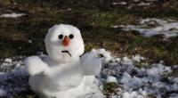 Ist der Winter schon vorbei?