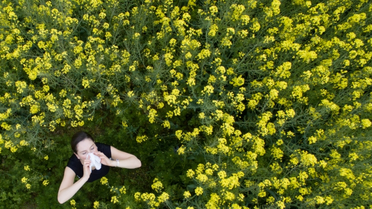 Viele Menschen reagieren allergisch auf Pollen.