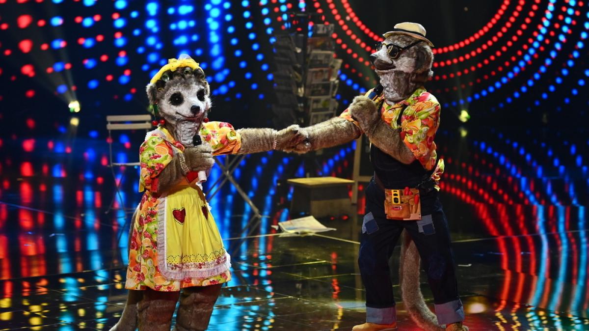 Stecken Daniela Katzenberger und Lucas Cordalis unter den Erdm&auml;nnchen-Masken? (Foto)