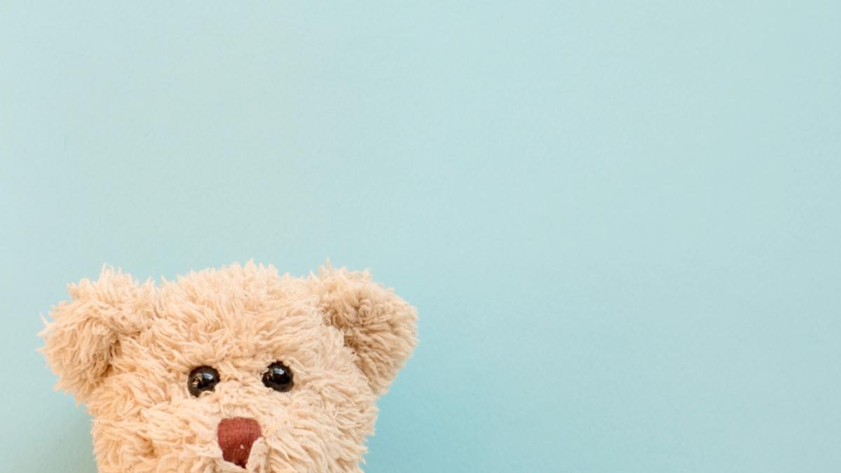 Die H&auml;lfte der Kuscheltiere wiesen im Test der Stiftung Warentest erhebliche M&auml;ngel auf. (Foto)