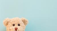 Die Hälfte der Kuscheltiere wiesen im Test der Stiftung Warentest erhebliche Mängel auf.