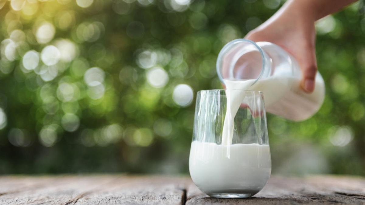 Die Milch macht's - doch welche Molkereiprodukte konnten die Produkttester von Stiftung Warentest am meisten &uuml;berzeugen? (Foto)