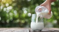 Die Milch macht's - doch welche Molkereiprodukte konnten die Produkttester von Stiftung Warentest am meisten überzeugen?