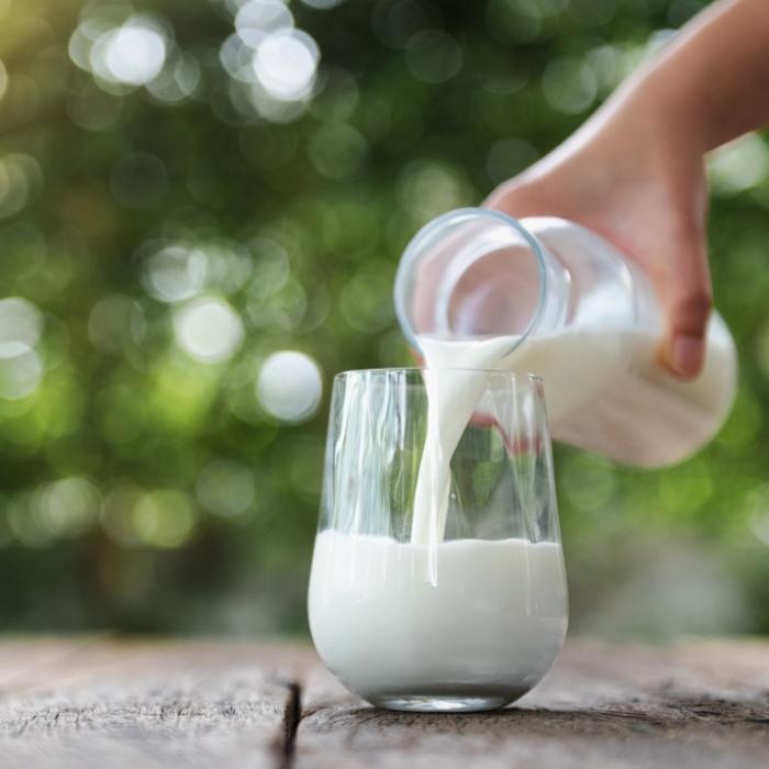 Je teurer, umso besser? Das sind die Testsieger im Milch-Regal