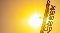 Was prophezeit der Hundertjährige Kalender für den August 2022?