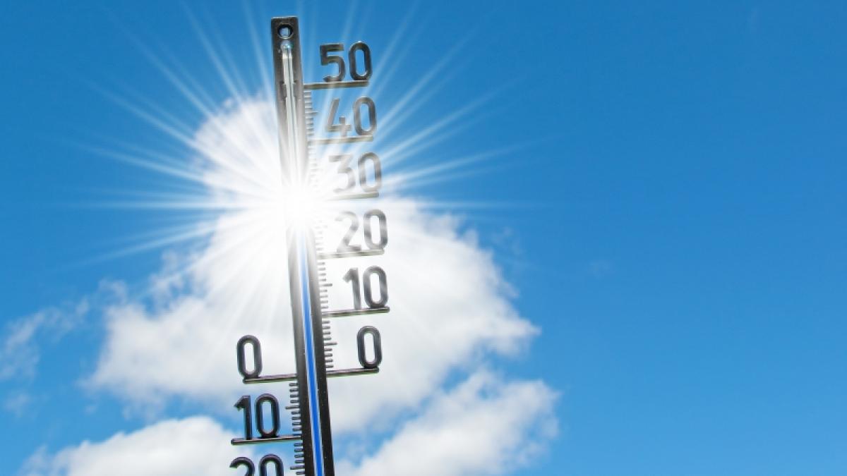 Klettern die Temperaturen in einer Woche schon in Richtung 30-Grad-Marke? (Foto)