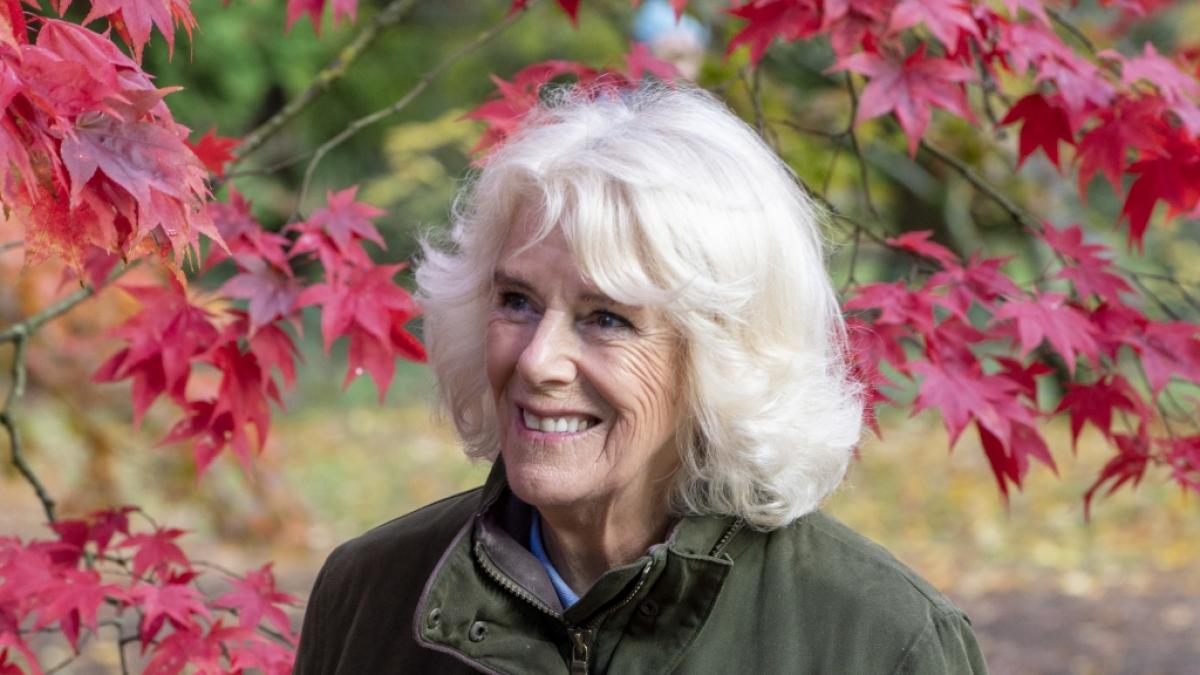 Hat sich Herzogin Camilla einem Facelift unterzogen? (Foto)