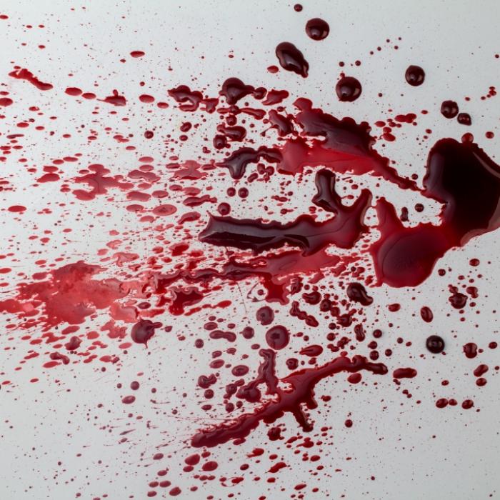 Mann tötet Haustiere und später Ehefrau - Leiche in 224 Teile zerstückelt
