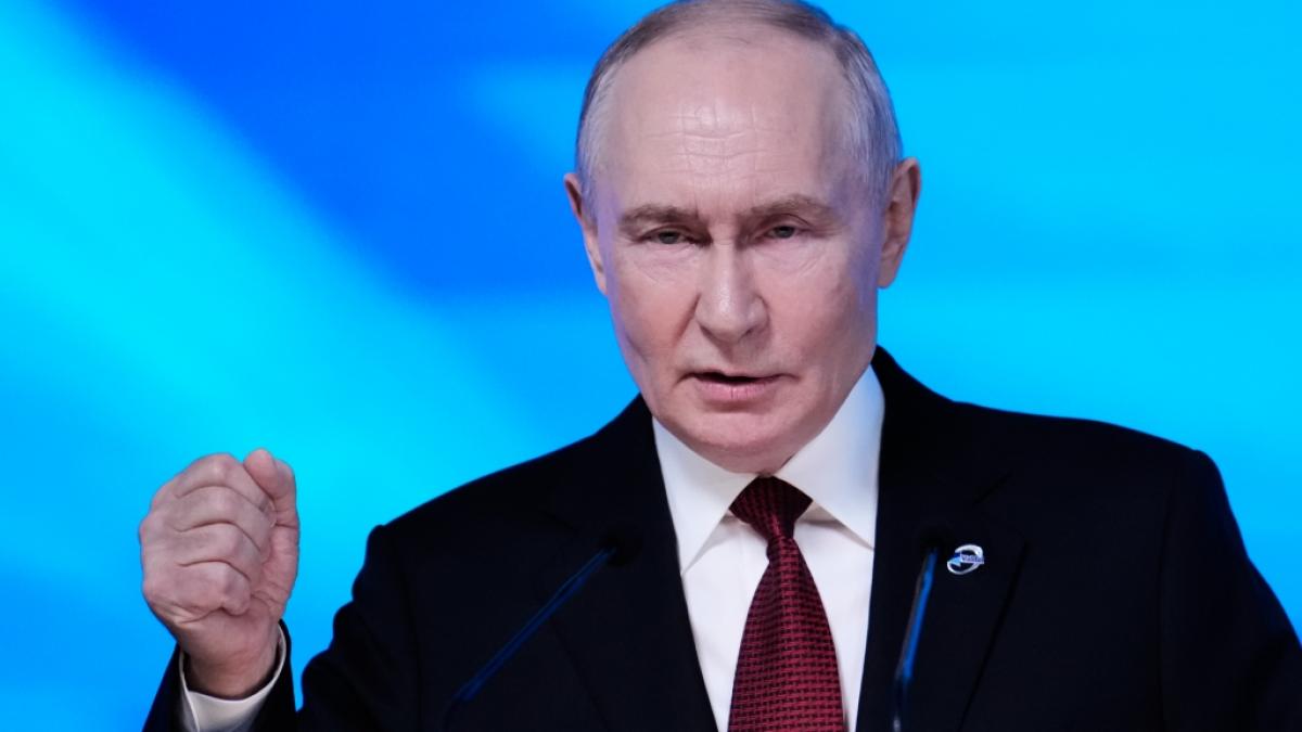 In Sibirien sterben Tausende Rinder an einer Seuche, die es offiziell gar nicht gibt - trotzdem hat die Regierung von Wladimir Putin den Notstand ausrufen lassen. (Foto)