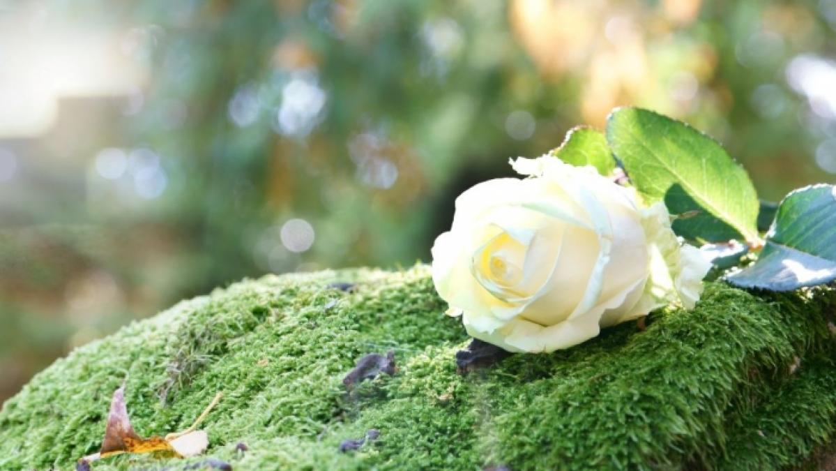 "Bride and Prejeduce"-Star Danii Erskine starb nach einem schweren Autounfall. (Symbolfoto) (Foto)