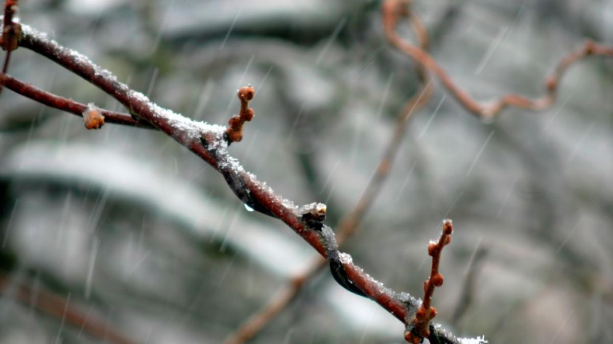 Kehrt der Winter am Wochenende zur&uuml;ck? (Foto)