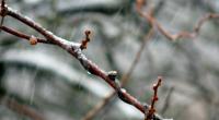 Kehrt der Winter am Wochenende zurück?