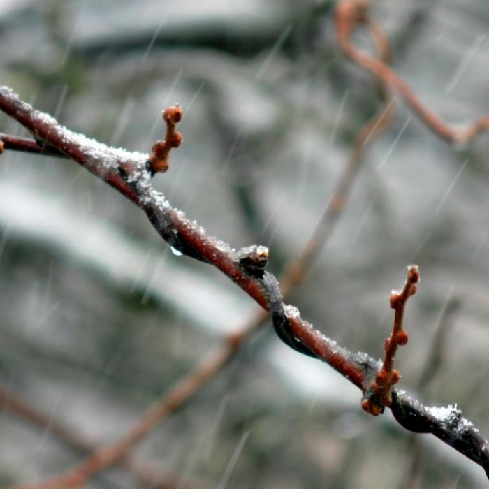 Sibirien-Kälte kracht nach Europa! Davor warnt der Wetterdienst