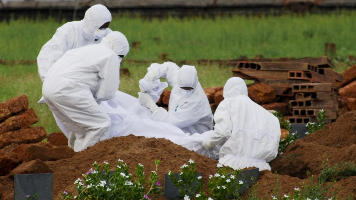 Ein 12-J&auml;hriger ist nach einer Nipah-Infektion gestorben. (Foto)