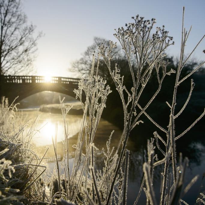 -10 Grad und Dauer-Frost! Der Winter ist zurück