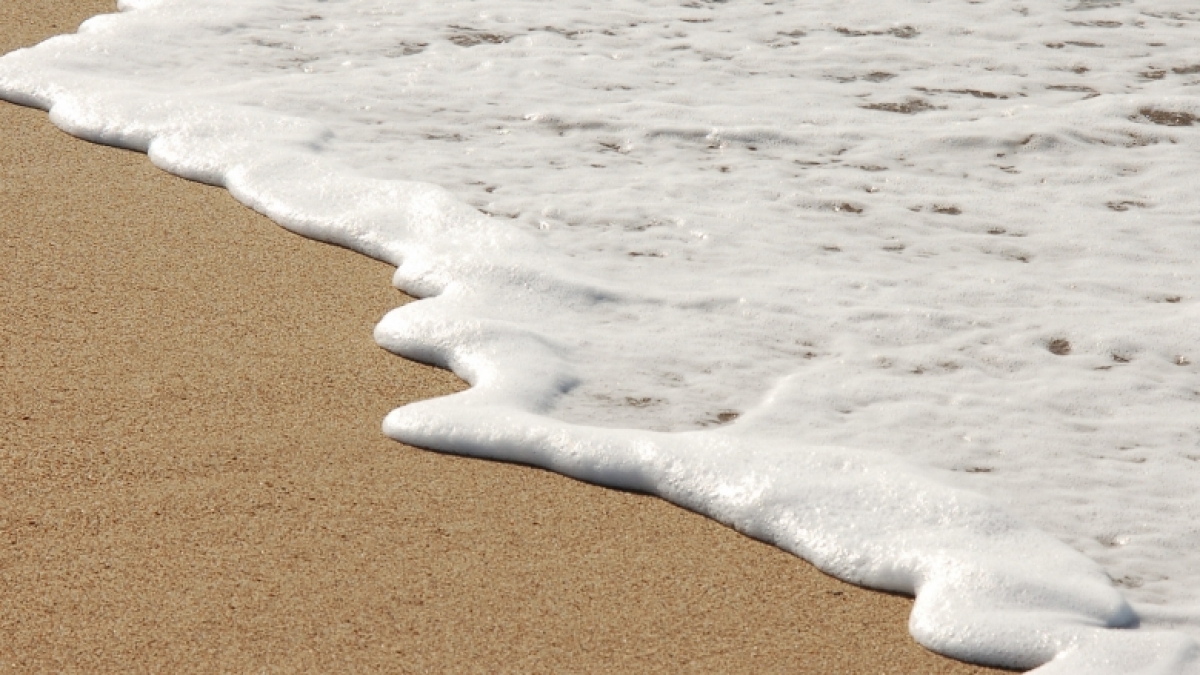 An den Strand von Kreta wurde eine bizarre Kreatur angesp&uuml;lt. (Foto)