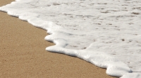An den Strand von Kreta wurde eine bizarre Kreatur angespült.