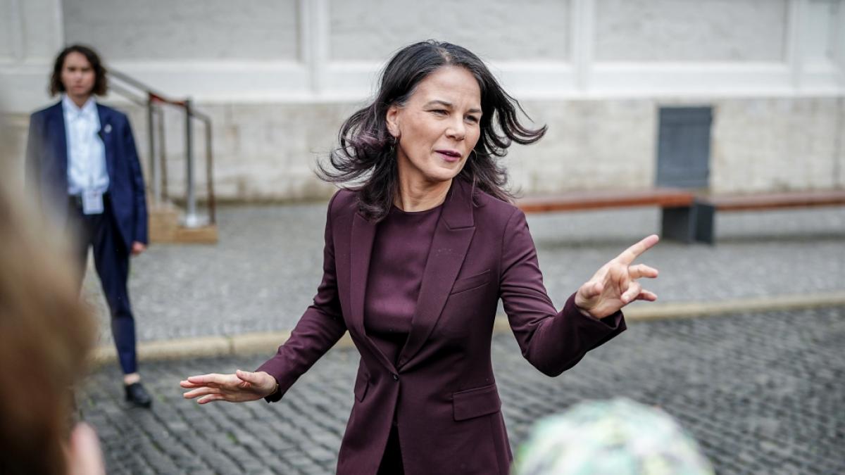 Annalena Baerbock wird f&uuml;r einen Satz zum Tag des Grundgesetzes im Netz verspottet. (Foto)