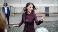 Annalena Baerbock wird für einen Satz zum Tag des Grundgesetzes im Netz verspottet.